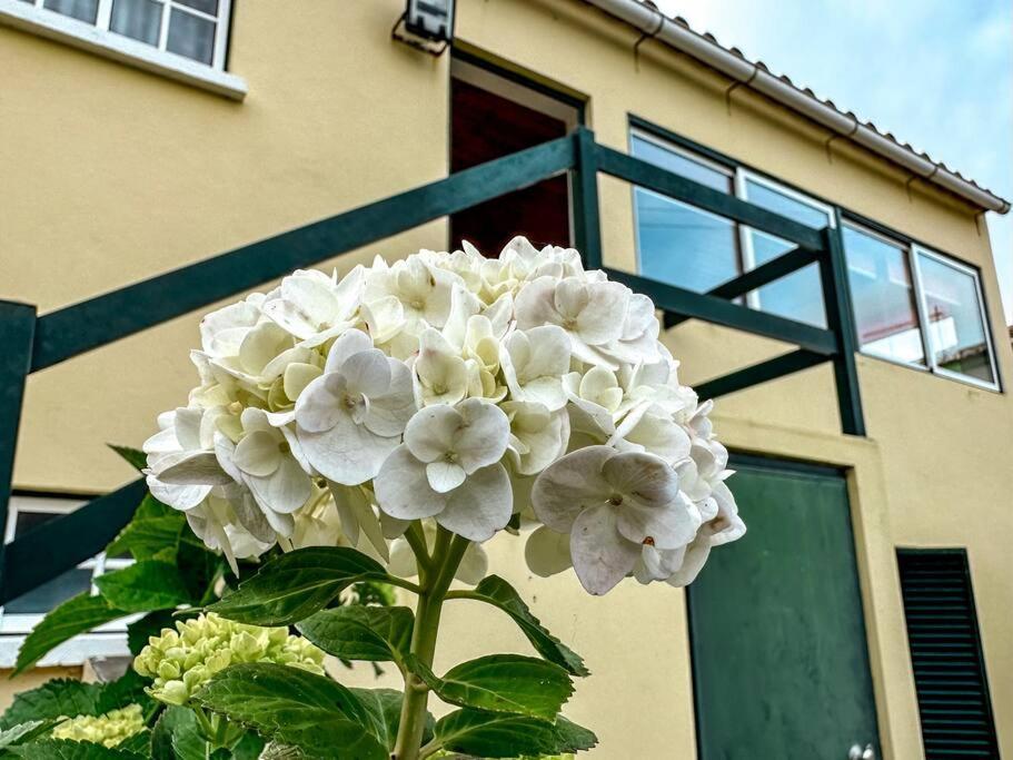 Apartamento Luana House Biscoitos  Exterior foto